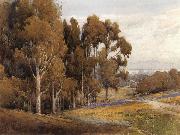 unknow artist A Grove of Eucalyptus in Spring oil on canvas
